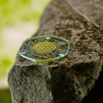 5110_Energy-Plate-MALI